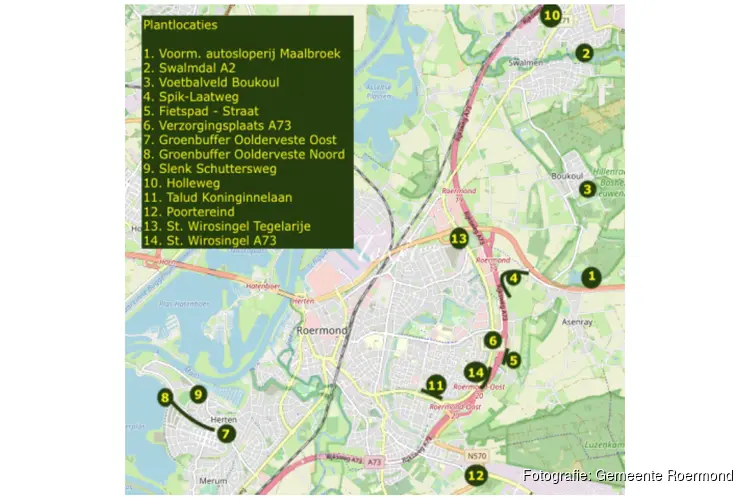 Gemeente Roermond groener maken
