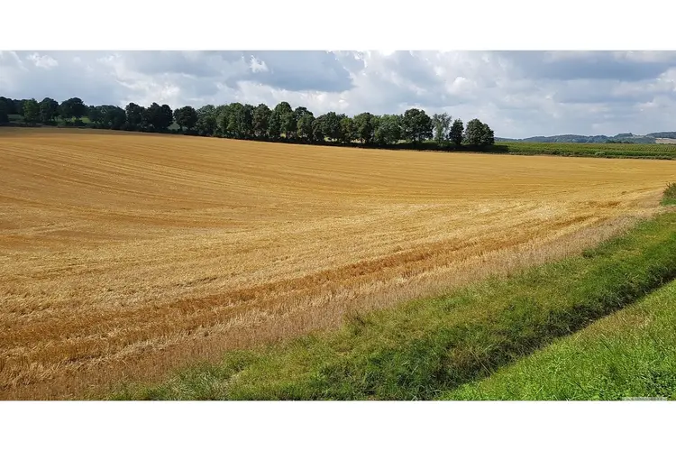 Provincie steunt boeren met kennisuitwisseling voor duurzame land- en tuinbouw